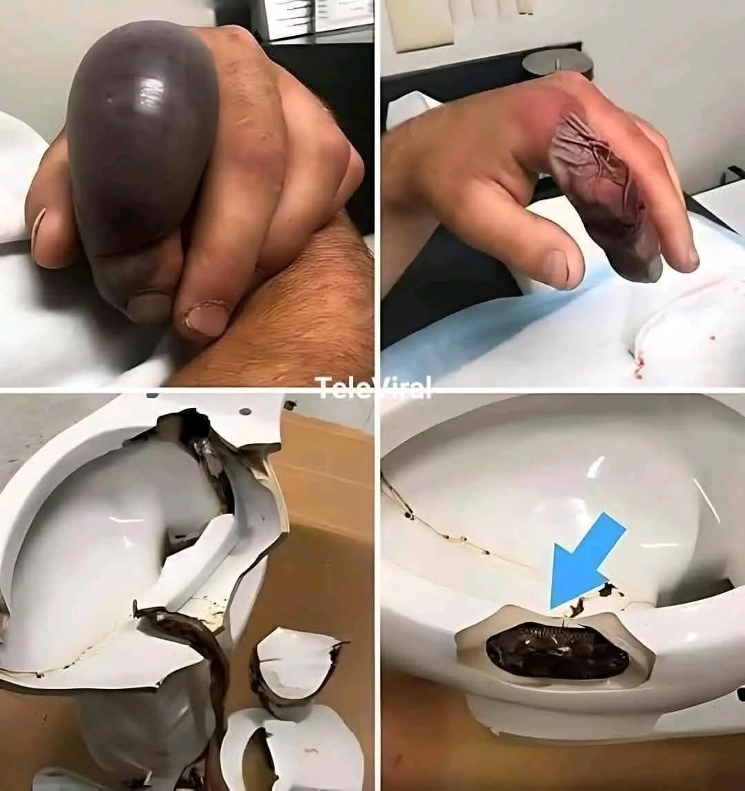 Fue al baño sin saber que había un…ver más
